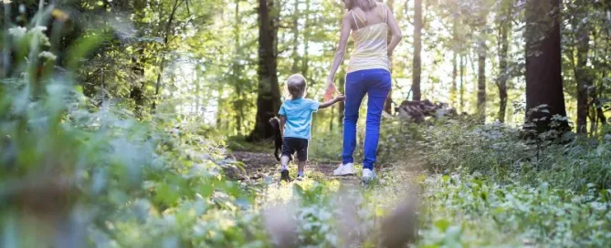 Björkris projektsida är aktiv - Trollängen Bostad
